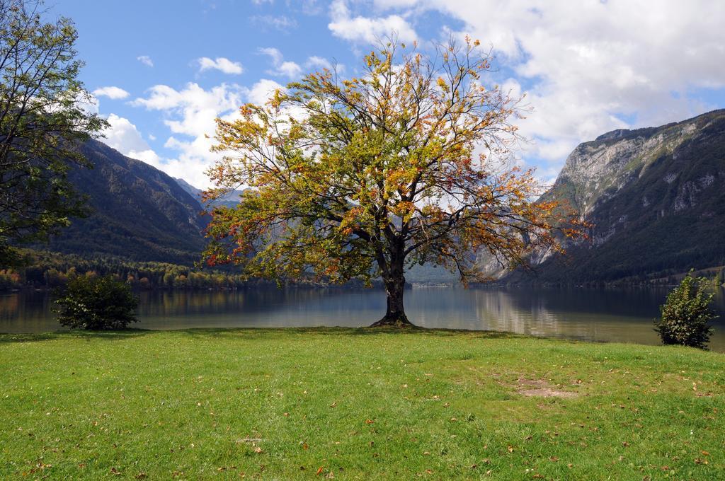 Apartment Dijak Bohinj Esterno foto