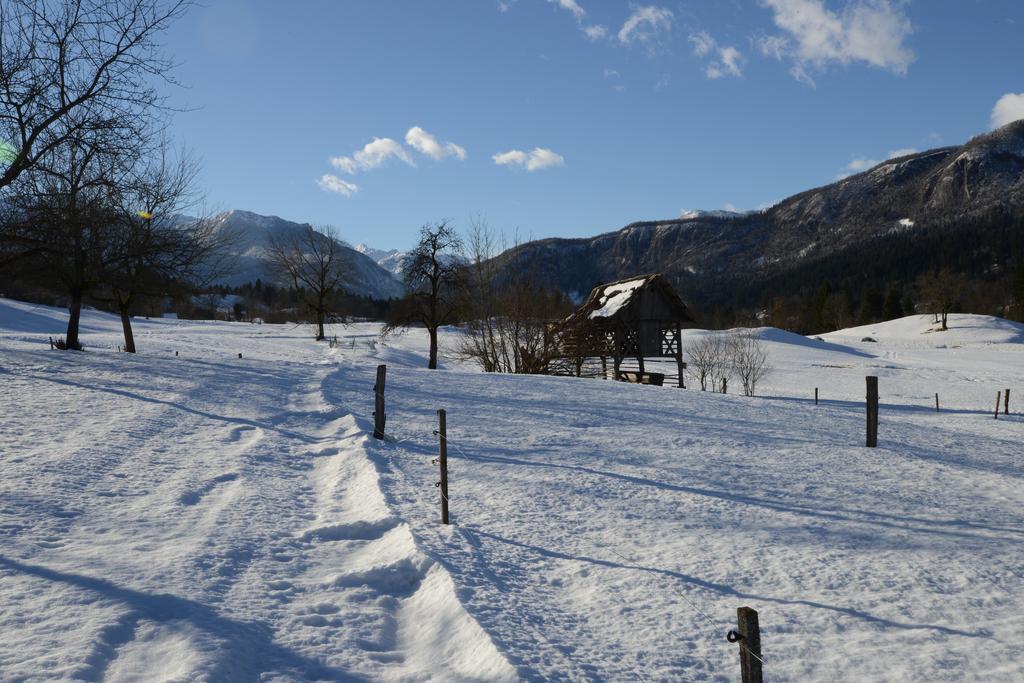 Apartment Dijak Bohinj Esterno foto