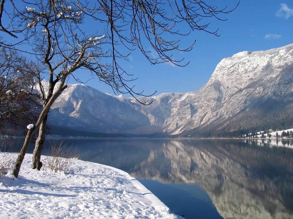 Apartment Dijak Bohinj Esterno foto